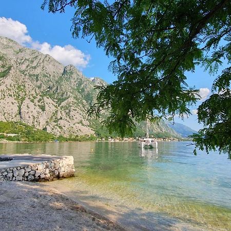Sea Side Apartment Kotor Buitenkant foto